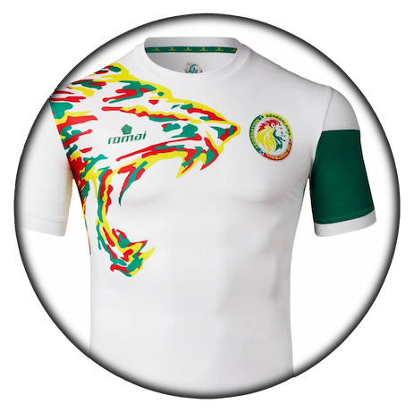 foto de equipo para Senegal